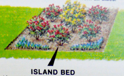Trồng cây theo đảo
